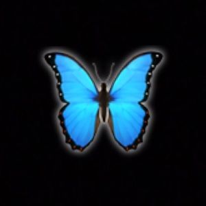 Meet your Posher, Khaliya